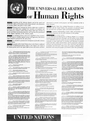 Una reflexión alrededor del artículo 29 de la Declaración Universal de los Derechos Humanos: H. G. Wells y las formas del mundo por venir. Parte 3